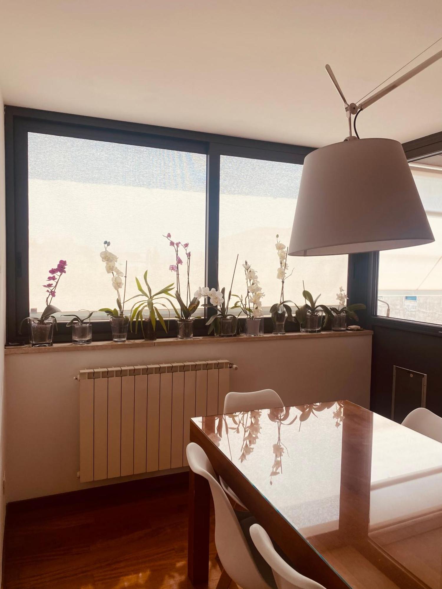 Appartamento La Casa Di Dani Firenze Esterno foto
